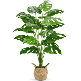Der Rose Monstera 44in in a woven basket enhances room decor.