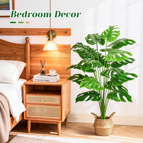 Der Rose Monstera placed on a covered patio for color and life.