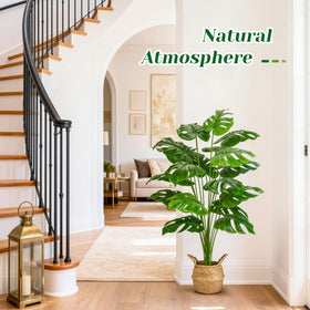 Packaging and unboxing of Der Rose Monstera shows quick assembly.