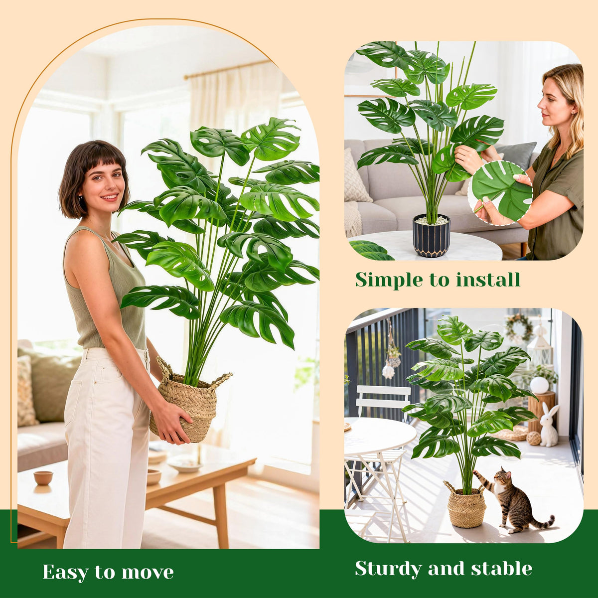Der Rose Monstera in a modern living space demonstrates versatile indoor decor.
