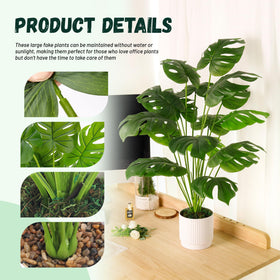 Front porch display by Der Rose monstera welcomes guests.