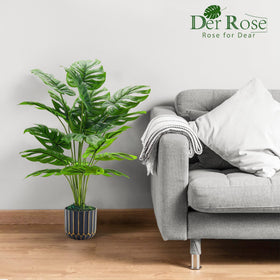 Der Rose Monstera fits stylishly in office decor.