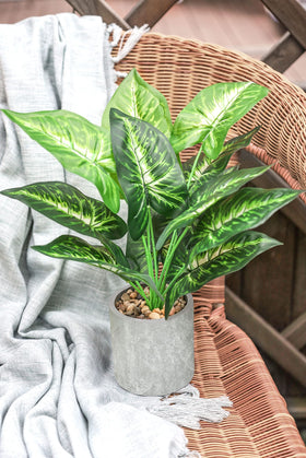 Der Rose office decor ideas using artificial plants to brighten spaces.