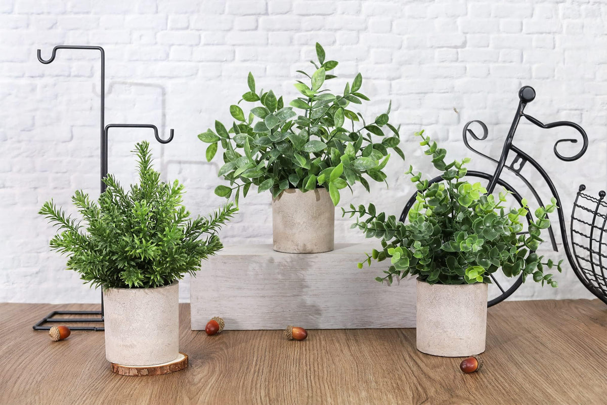 Der Rose paper pulp pot mini planter elevating shelves with green charm