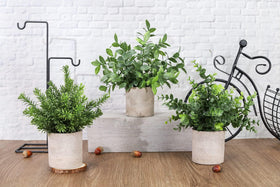 Der Rose paper pulp pot mini planter elevating shelves with green charm