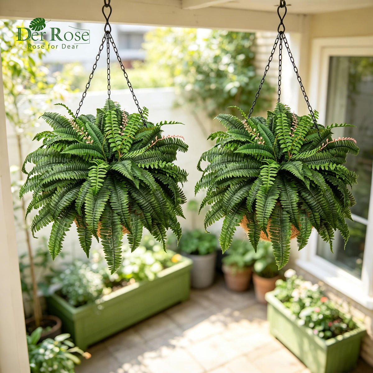 Der Rose fern with reddish center leaves for variation.