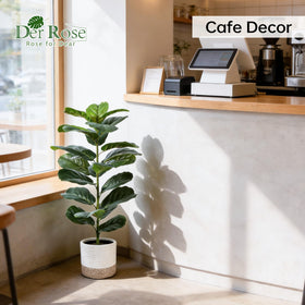 Der Rose symmetrical pair of fiddle leaf fig trees for balanced decor