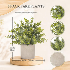 Der Rose paper pulp pots provide sturdy stylish bases.