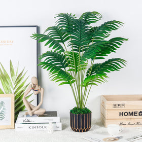 Der Rose versatile indoor greenery to enhance home decor
