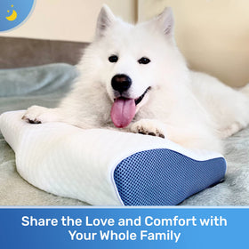 Derila King Size Neck Pillow gift-ready packaging invites a thoughtful present
