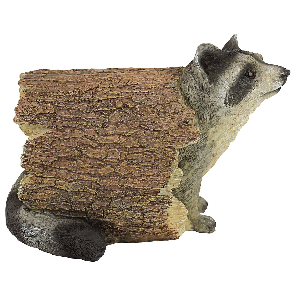Bandit’s shadowed eyes and attentive expression for a lifelike presence.