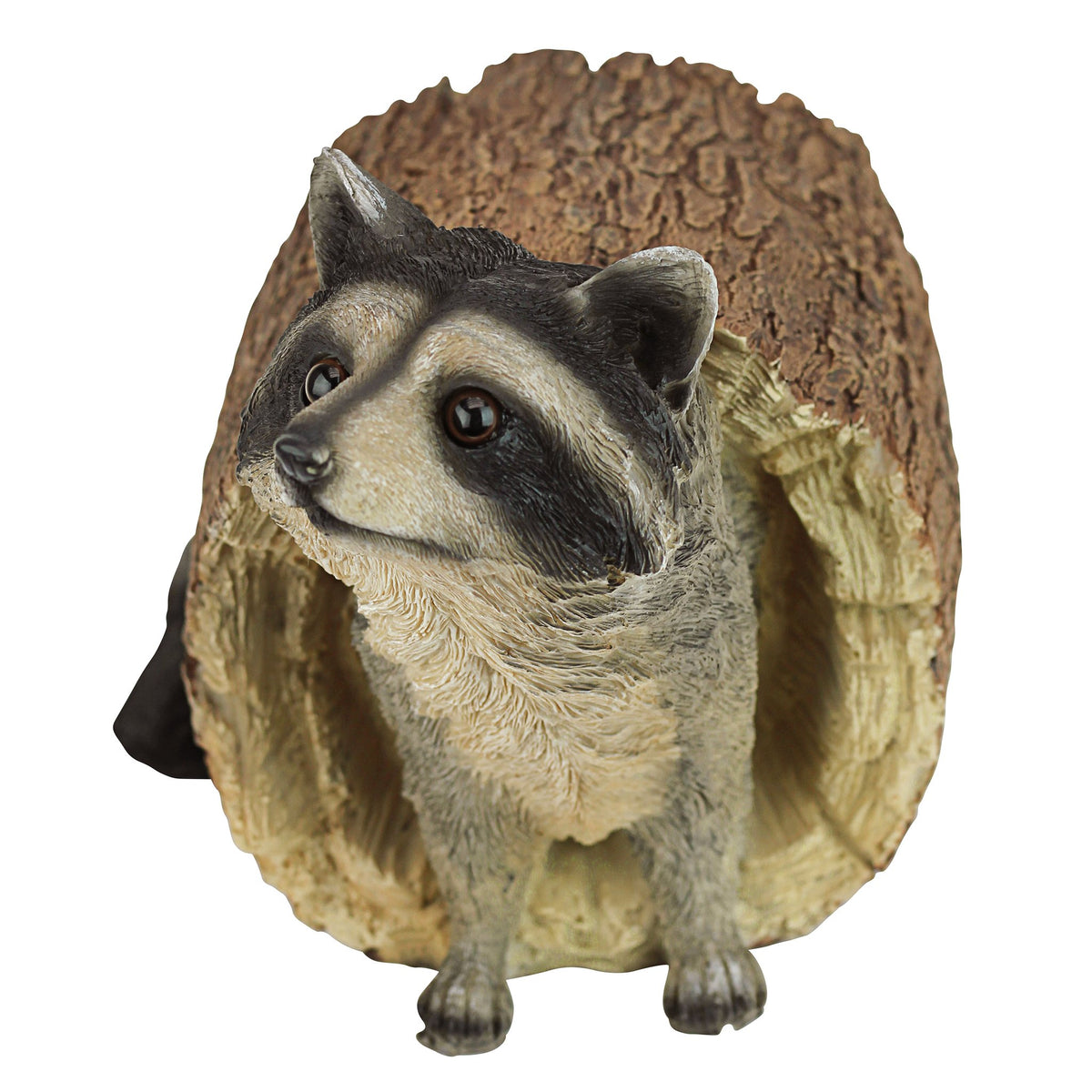 Bandit the raccoon peeks from a log, bringing rustic whimsy to your yard.