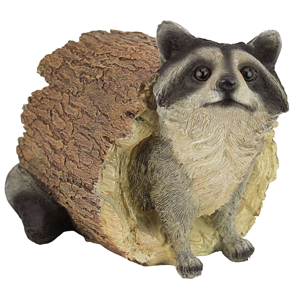 Design Toscano Bandit raccoon statue outdoors, adding lifelike charm and garden curb appeal.