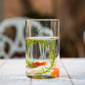 Devilfire clear glass vases as wedding centerpiece ideas and decor