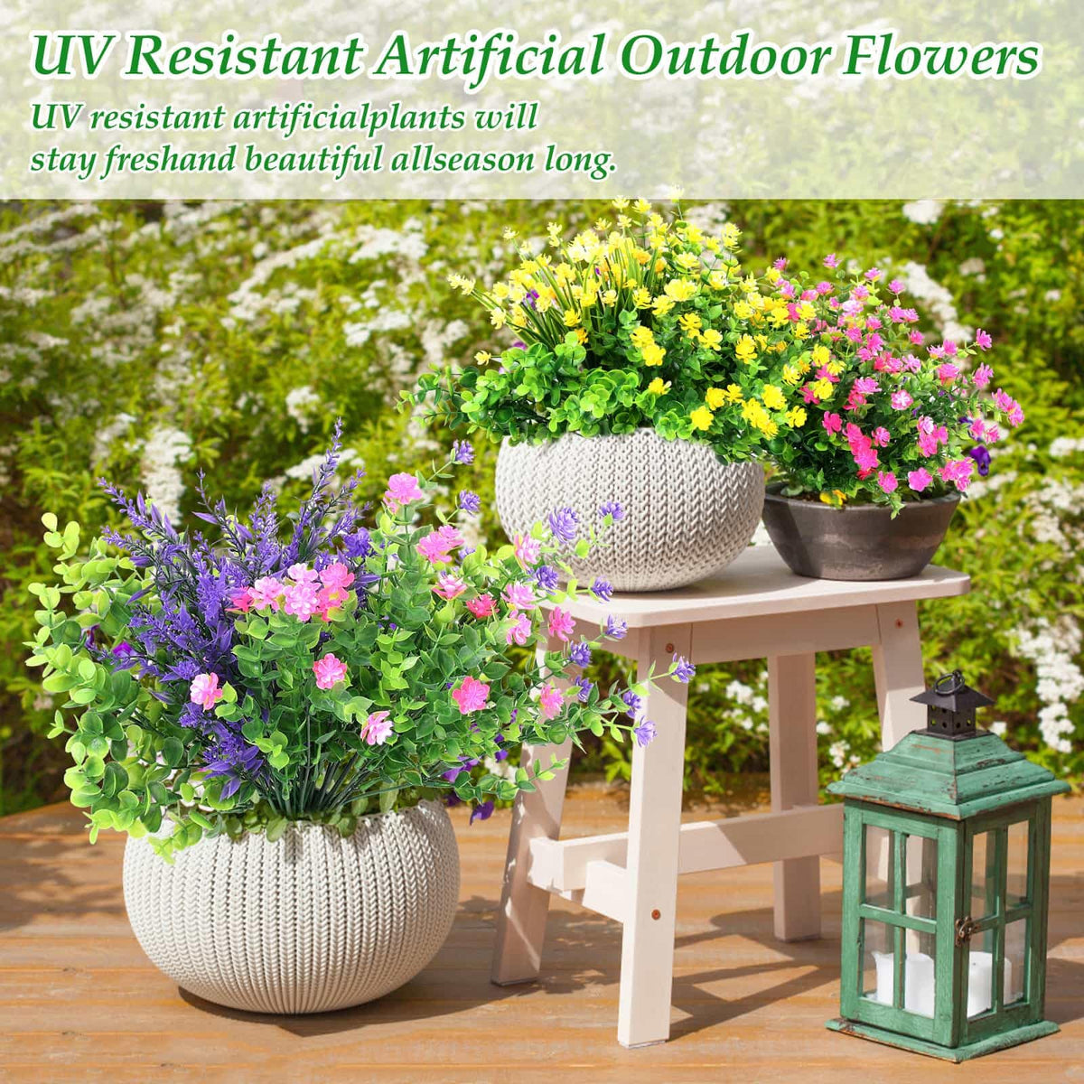 Dexpinzo purple boxwood bundles ideal for entryways and patios.