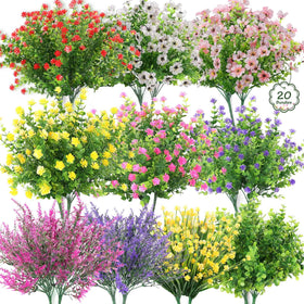 Dexpinzo red boxwood bundles for bright garden borders and planters.