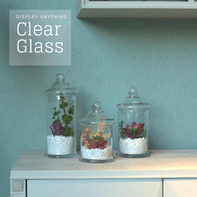 Diamond Star Glass Apothecary Jar set on display elevates any shelf.