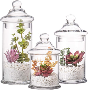 Diamond Star Glass Apothecary Jar small qtips keeps bathroom essentials organized and accessible.