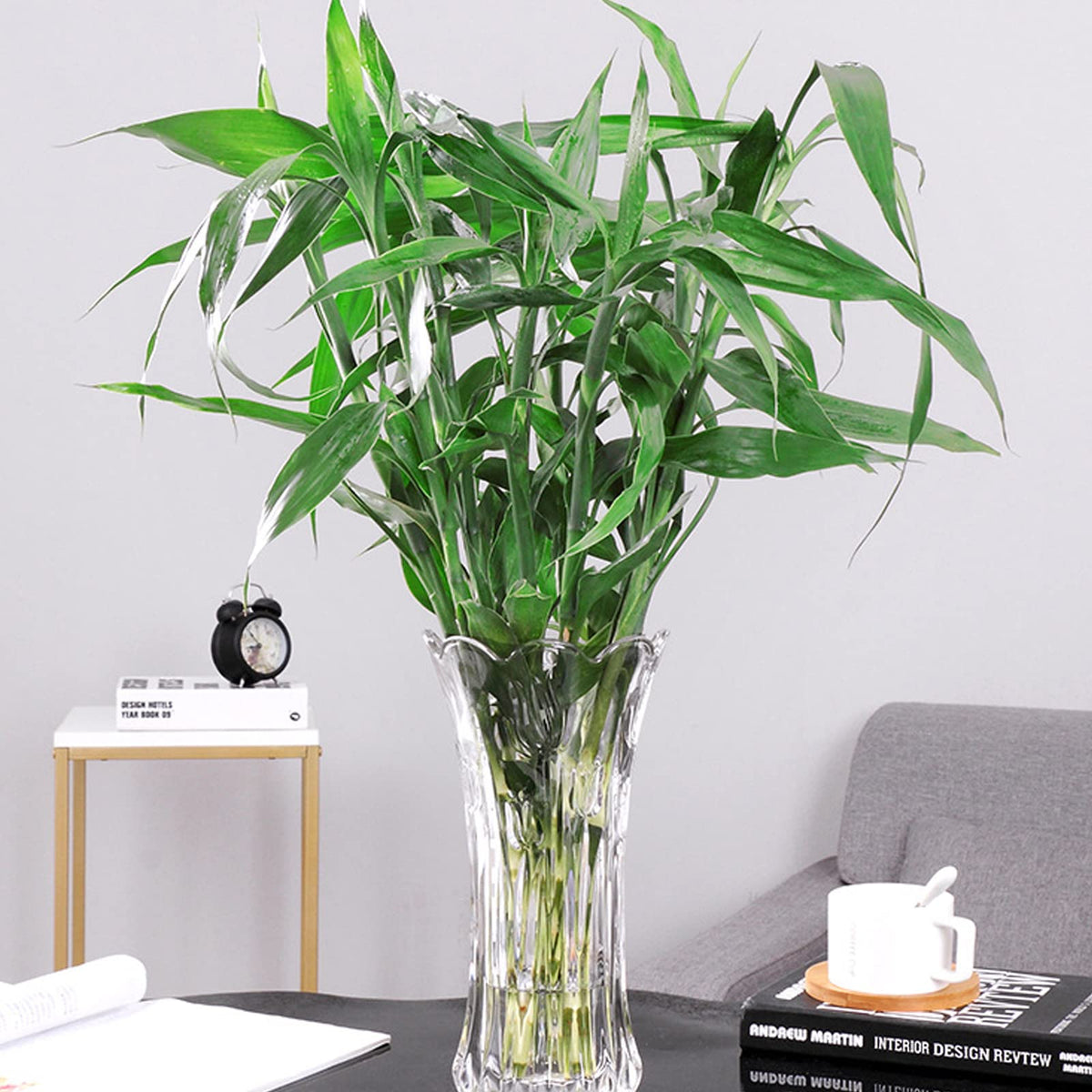 Dicunoy elegant simple design vase for everyday styling