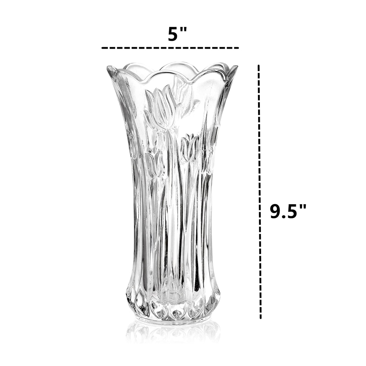 Dicunoy heavy-base clear glass vase for stable daily use