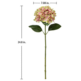 DILATATA Pack of 3 hydrangea stems ready to mix and match.