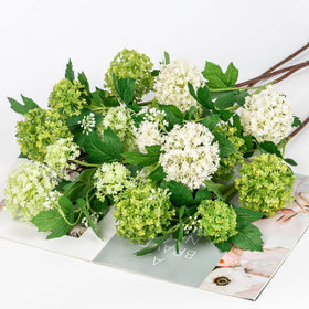 DILATATA hydrangea stems wrapped in wire for easy shaping