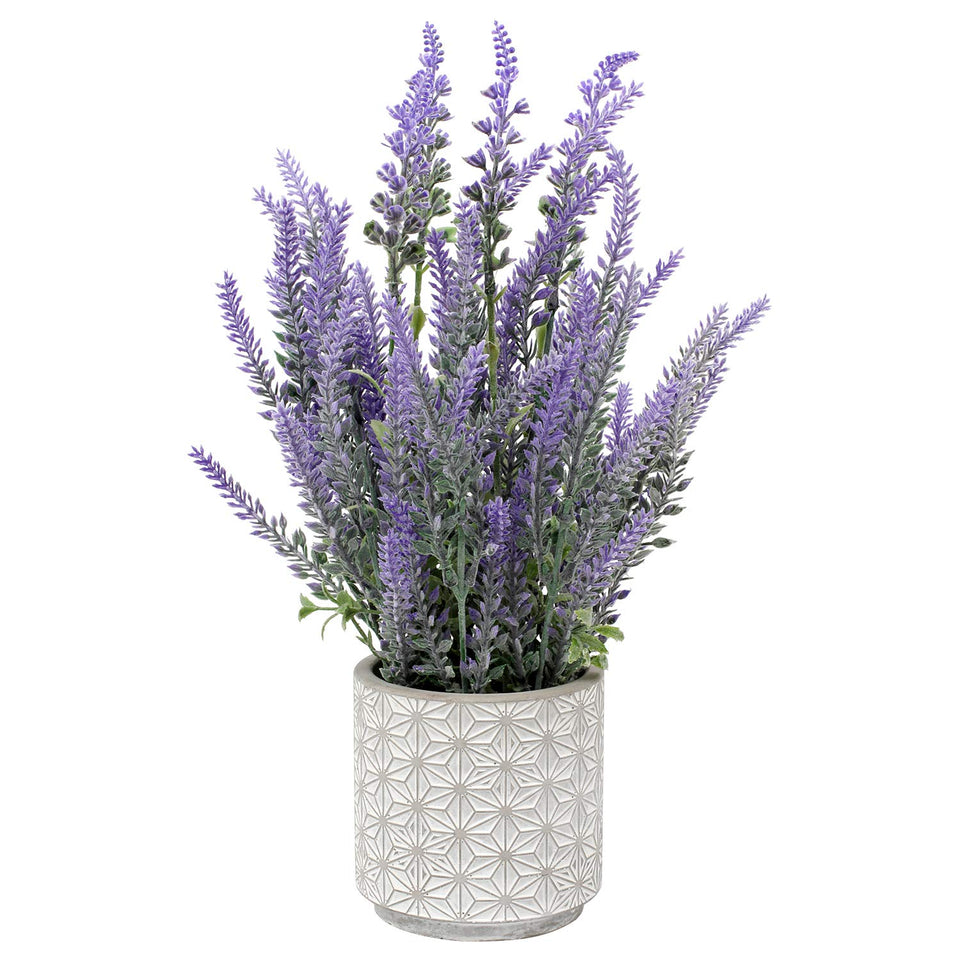 DILATATA lavender flowers in cement pot for rustic dining room centerpiece