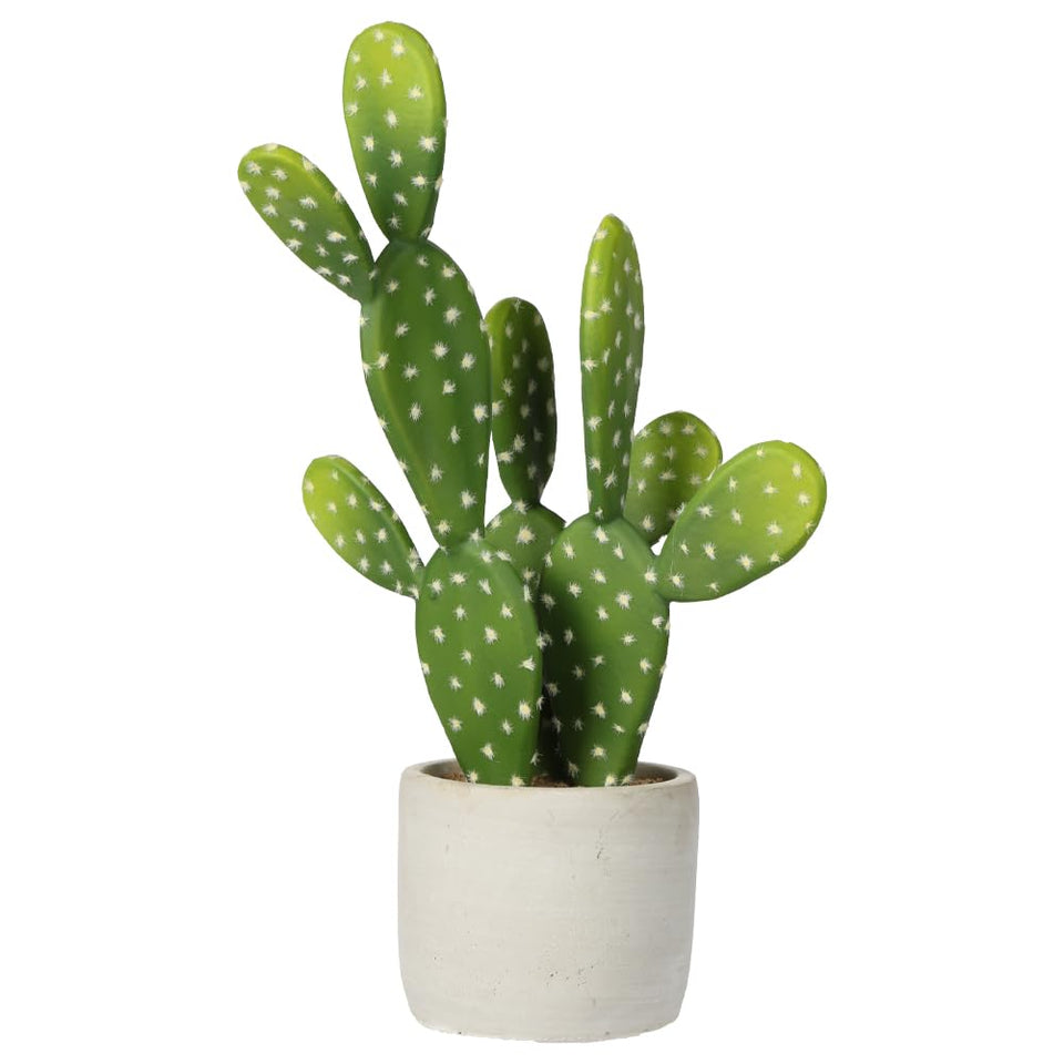 DILATATA prickly pear cactus in pot; lifelike texture enhances living room décor
