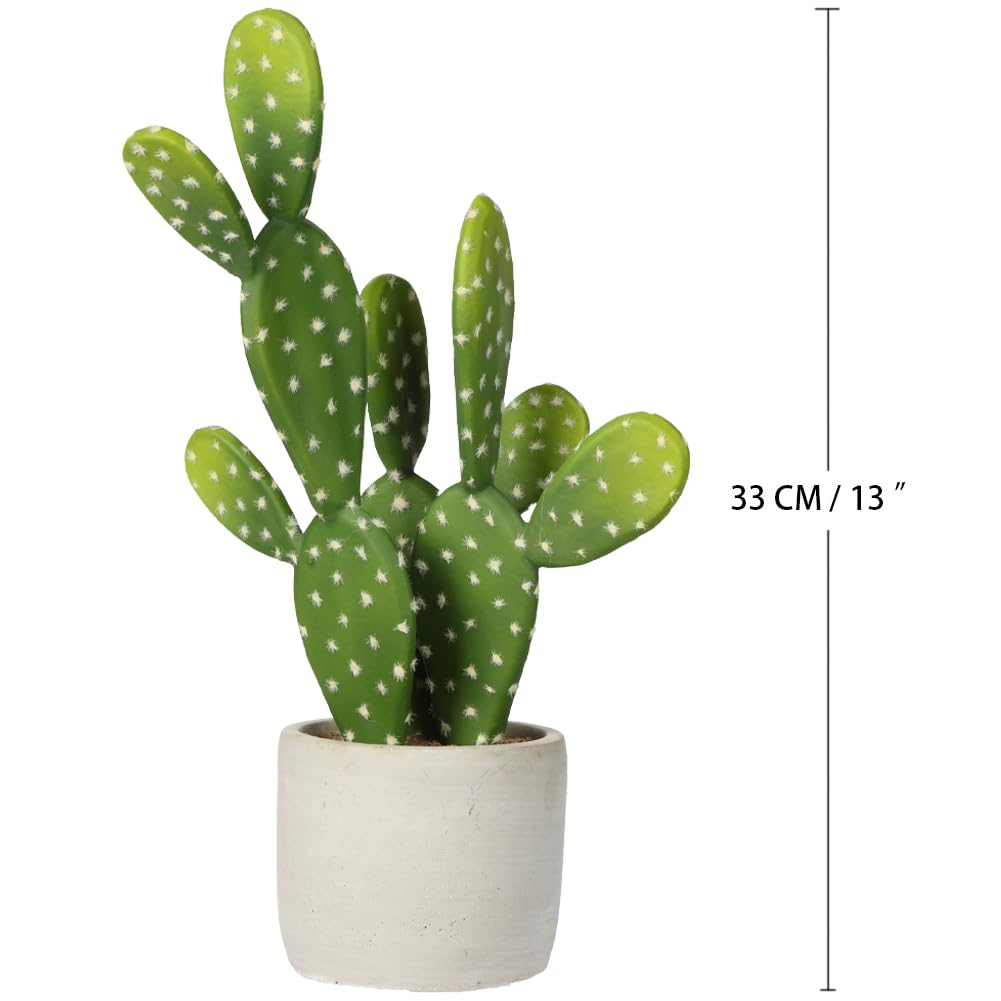 DILATATA small fake cactus makes a thoughtful housewarming gift