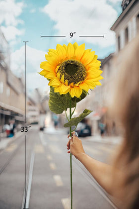 DILATATA gift-ready sunflower bouquet for celebrations