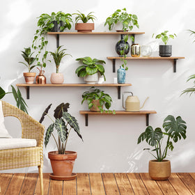 DINZI LVJ rustic brown finish shelves bring vintage vibe with sturdy support.