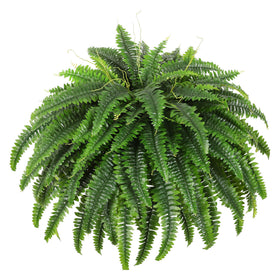 Dkaltm Boston fern bush 49inch with silky realism for indoor decor.