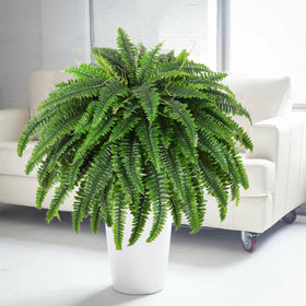 Dkaltm dust-wipeable artificial fern for easy cleaning.