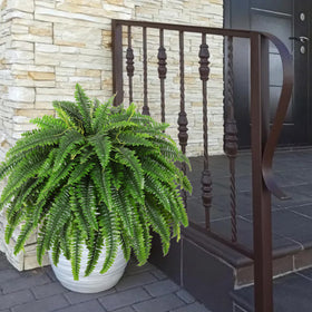 Dkaltm 95-leaf fern bush adds fullness without watering.
