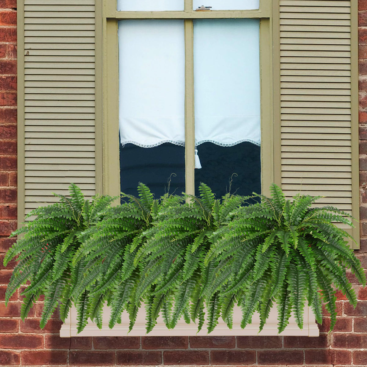 Dkaltm two-pack fern set, no planter included in packaging.