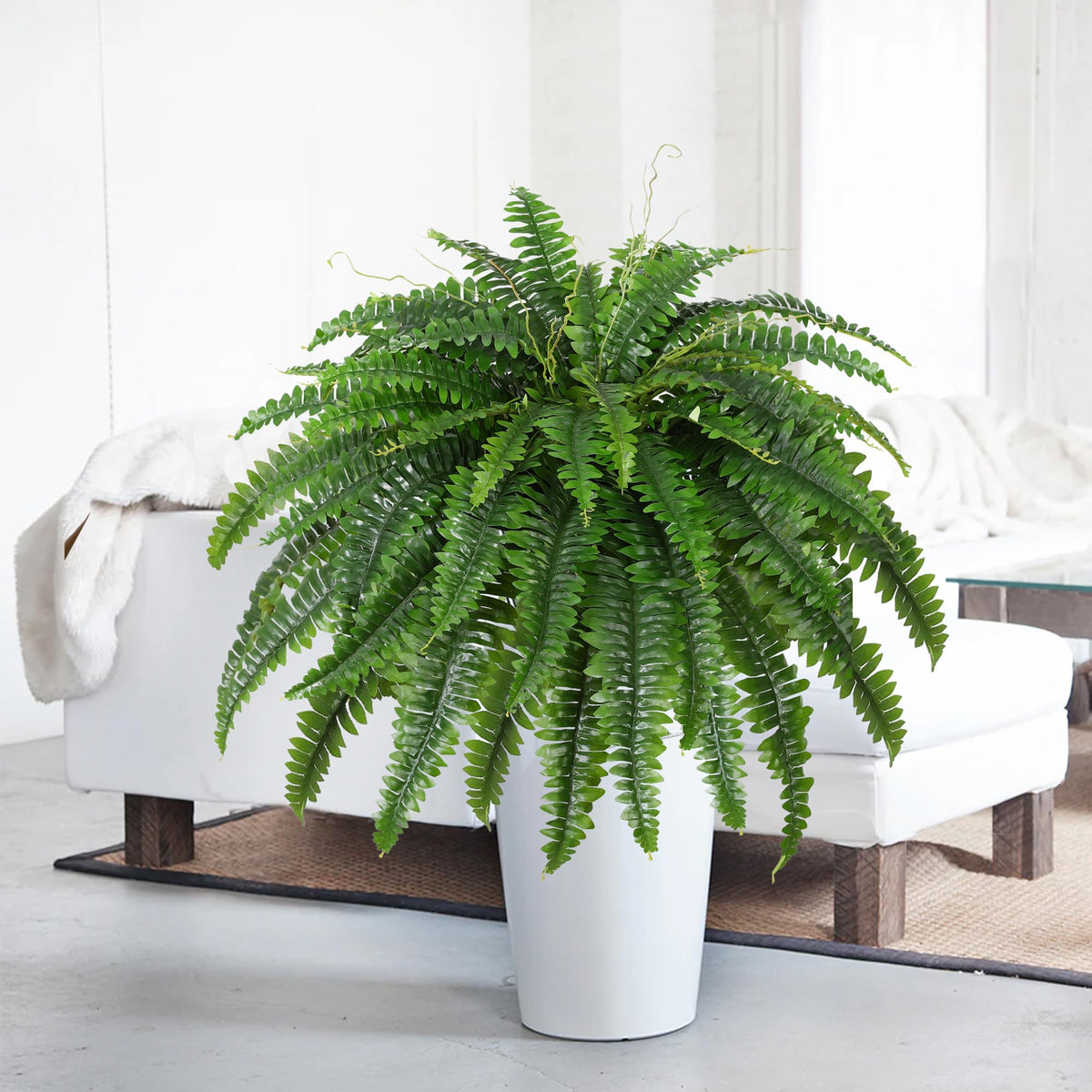 Dkaltm artificial fern used in living room decor for evergreen appeal.
