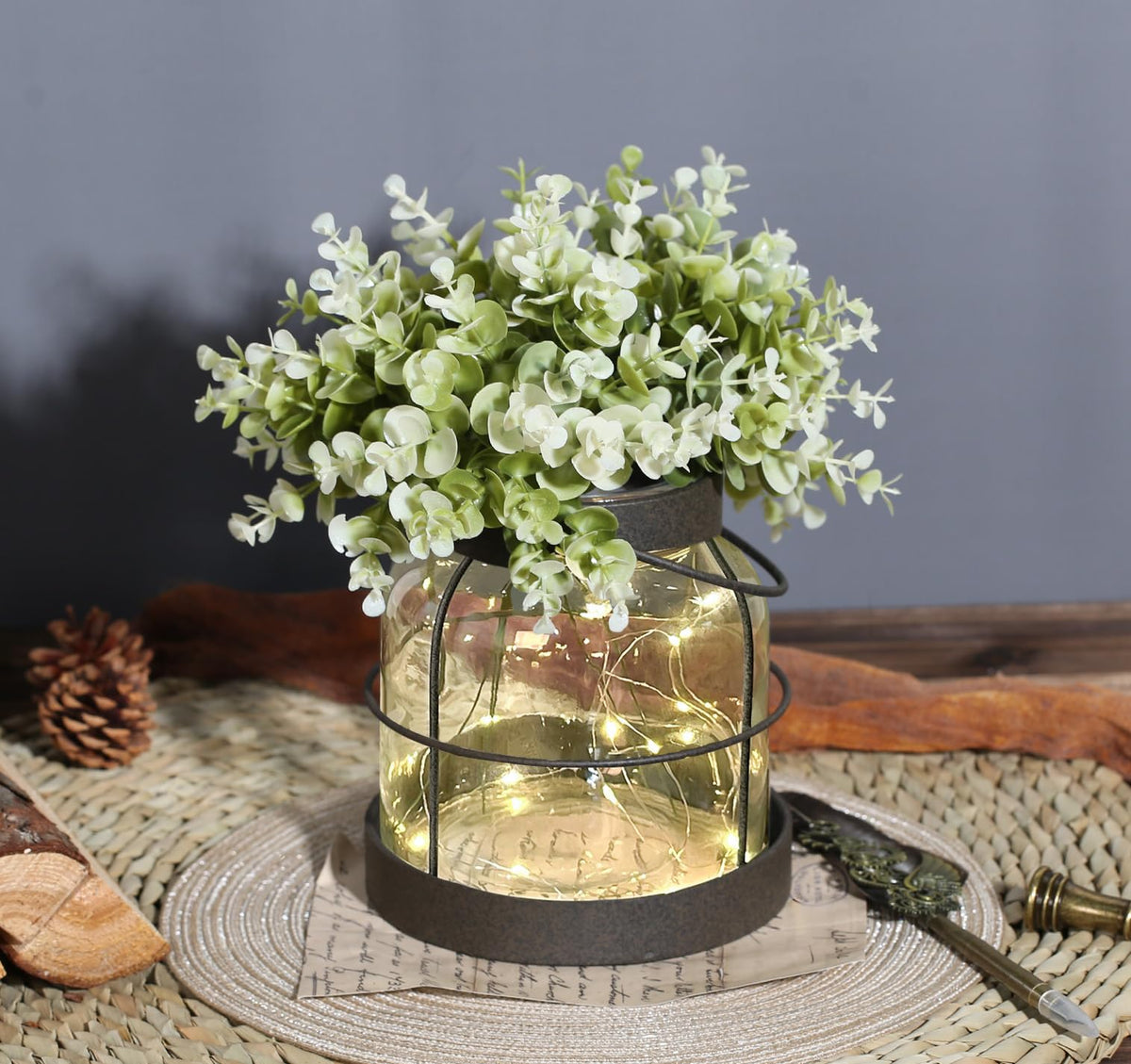 Dnnnii Vintage Glass Farmhouse LED-Lights illuminate displays without wiring