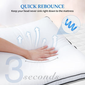 DolceLuna king pillow 2-pack soft support ideal for hotel-quality rest.