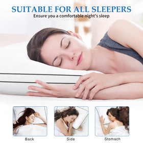 DolceLuna queen size 19x28 image confirms standard pillowcase compatibility.