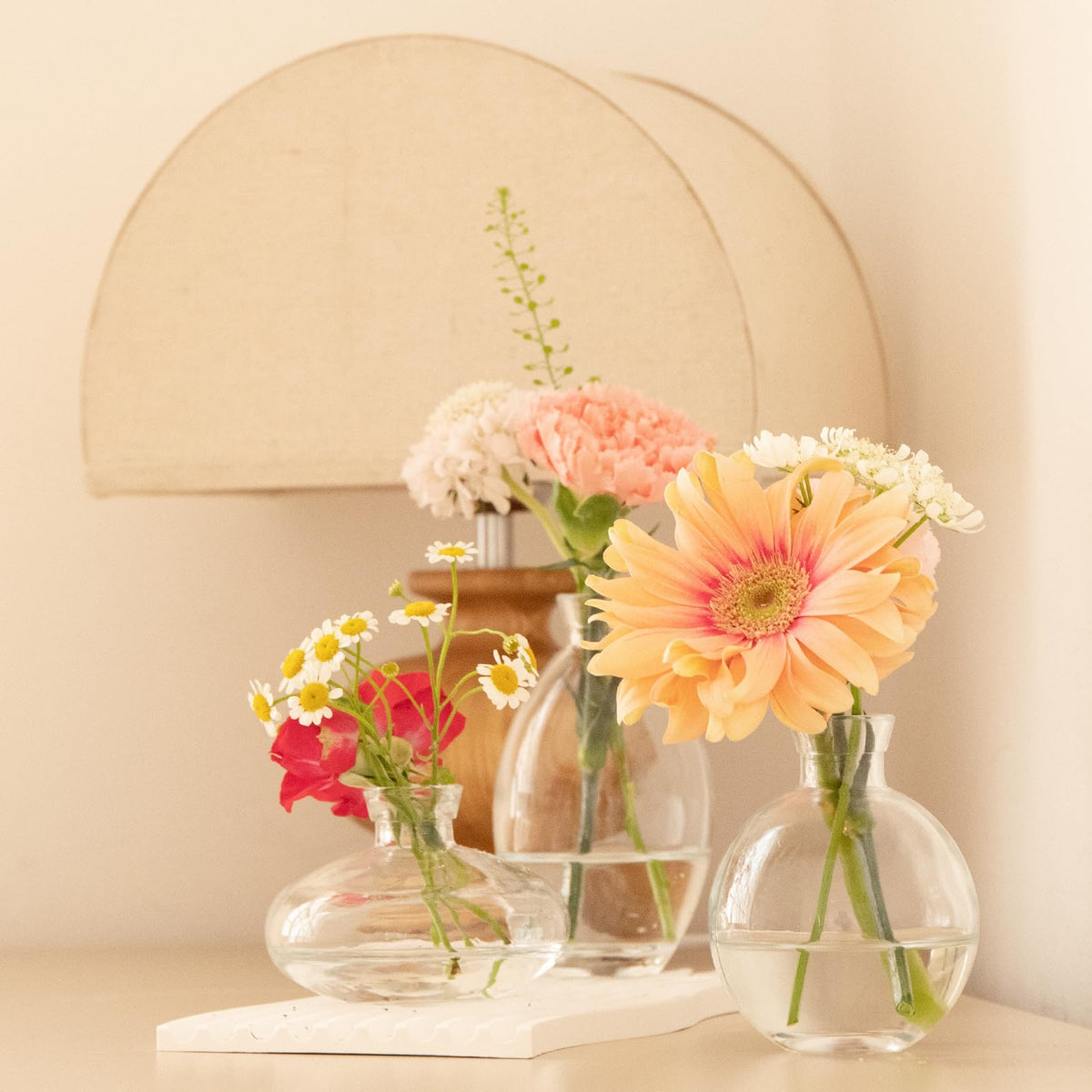DOLEEYAE glass vases with compact bases support varied arrangements