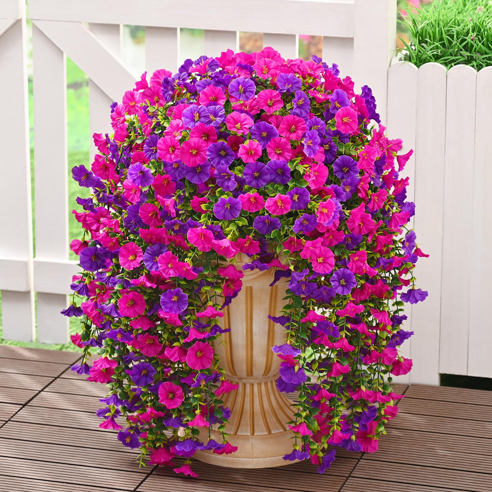 Dolicer four-pack outdoor flower bundles add instant curb appeal.