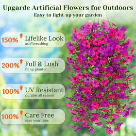 Dolicer maintenance-free outdoor flowers for planters and baskets.