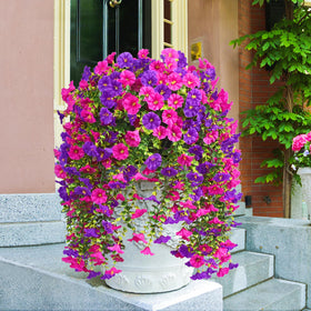 Dolicer vibrant petunia décor for garden or patio.