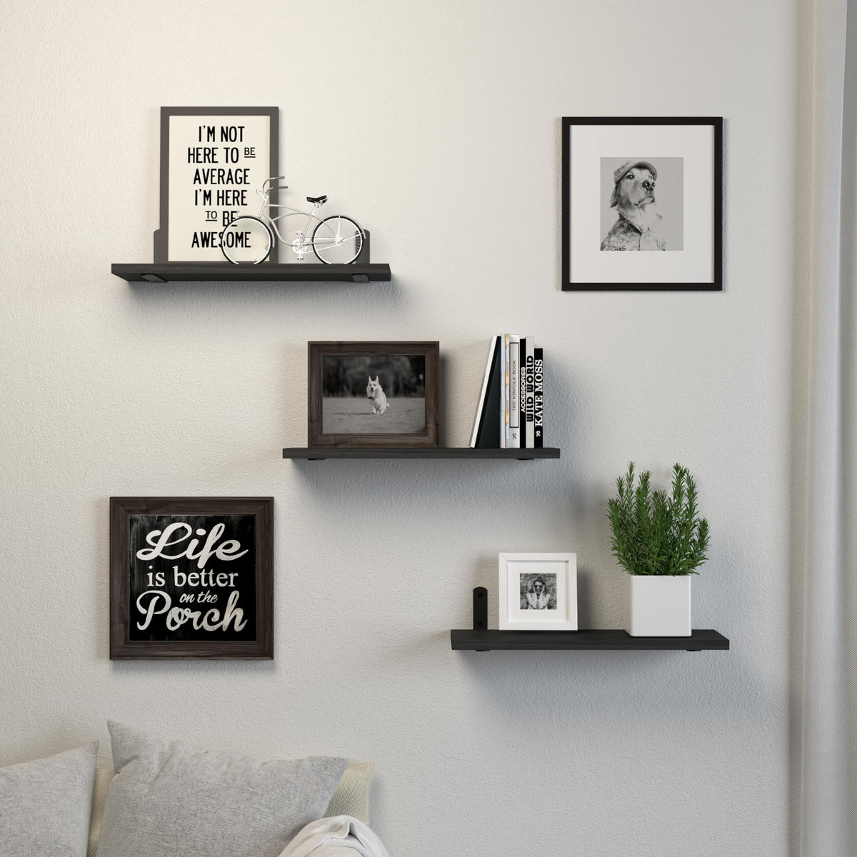 DOLLFIO books and plants on wall shelves for compact storage
