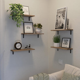DOLLFIO plant display on wall shelves for greenery indoors.