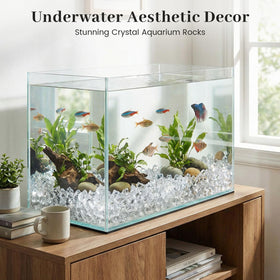 DomeStar winter wonderland decor pieces suggest premium, crystal-clear themes for seasonal displays.