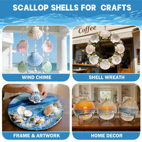 DOODLEBEAN shells on craft workspace for DIY painting and frame projects