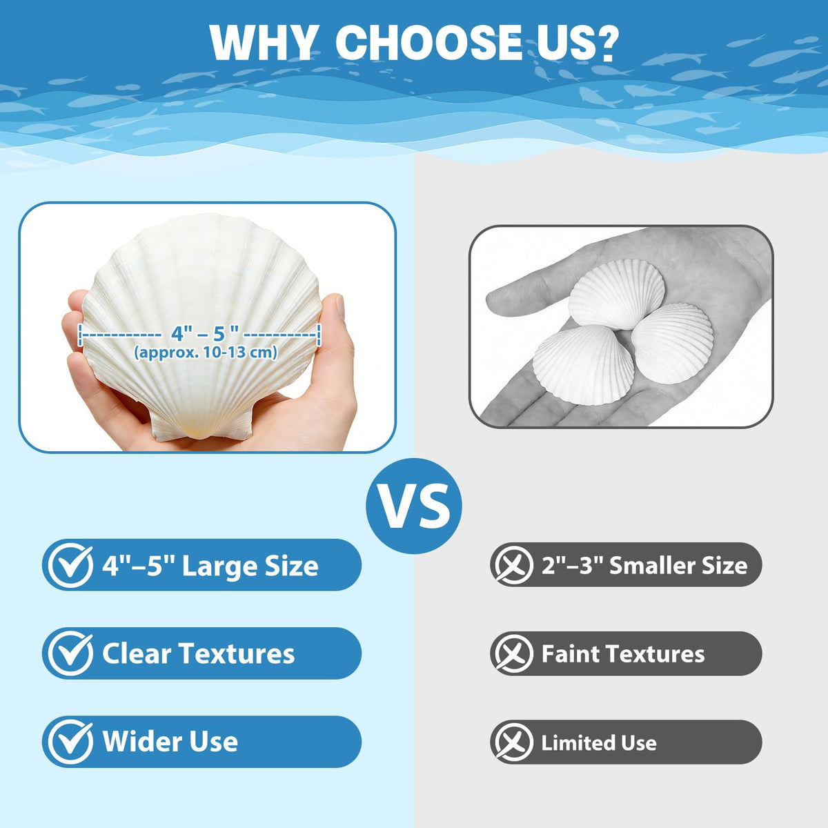 DOODLEBEAN shells packaging image showing double-layer padding for secure shipping