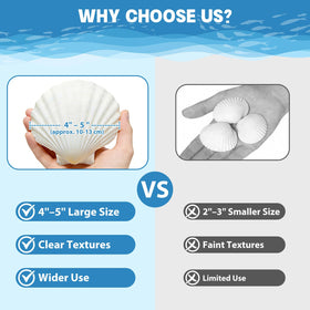 DOODLEBEAN shells packaging image showing double-layer padding for secure shipping