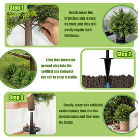 DOPGIB indoor topiary adds vibrant greenery to living spaces
